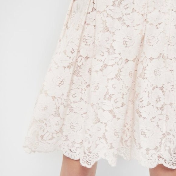 Ted Baker London Ameeya Flora Lace Fit & Flare Dress in Light Pink Pleated Skirt - Picture 11 of 17